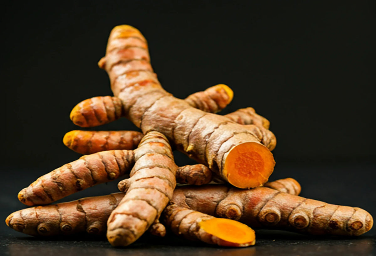 Turmeric (Haridra)