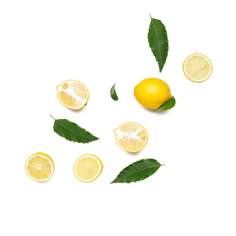 Herbal Pearly Hand Soap